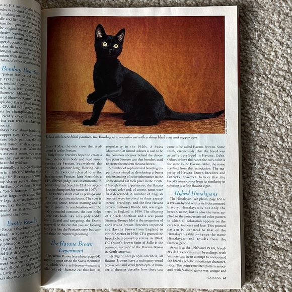 Vintage CATS USA 1999 ANNUAL Magazine Perfect for any cat lover - Picture 4 of 7